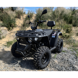 Linhai M210 T3b EFI Quad ATV - 3