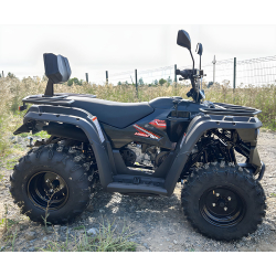 Linhai M210 T3b EFI Quad ATV - 5