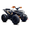 Beretta Baracuda 250 Quad ATV - 1