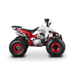 Barton Eagle 125 ATV Quad - 2