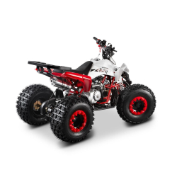 Barton Eagle 125 ATV Quad - 3