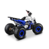 Barton Eagle 125 ATV Quad - 6
