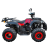 XTR Bashan 200 T3b Quad ATV - 2