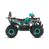 Barton Raptor 125 Quad ATV - 7