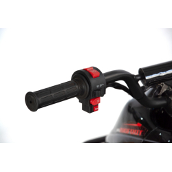 XTR Big Foot 001/7 125 Quad ATV - 15