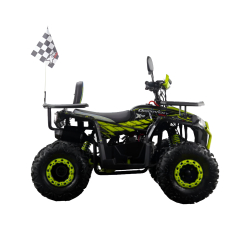 XTR Discovery 018/8 125 Quad ATV - 5