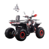 XTR Discovery 018/8 125 Quad ATV - 9