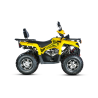 Barton Discover 200 Alu ATV T3b - 2