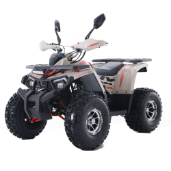 Asix Fourcraft 125 Alu Quad ATV - 2