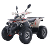 Asix Fourcraft 125 Alu Quad ATV - 2