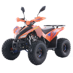Asix Coyote 125 Quad ATV - 2