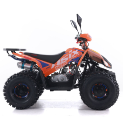 Asix Coyote 125 Quad ATV - 4