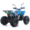 Asix Coyote 125 Quad ATV - 5
