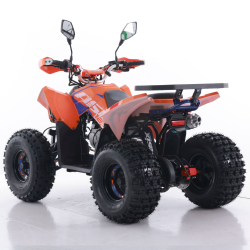 Asix Coyote 125 Quad ATV - 6