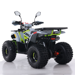 Asix Hunter 125 Quad ATV - 8