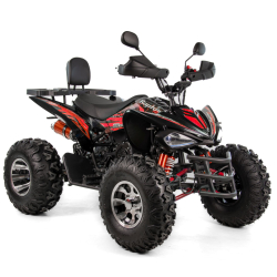 XTR Raptor 250 Automat Quad ATV - 2