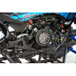 XTR Raptor 250 Automat Quad ATV - 15