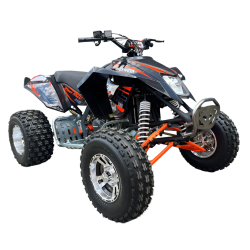 Quad ATV Beretta EGL Mad Max 250