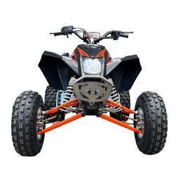 Quad ATV Beretta EGL Mad Max 250