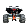 Quad ATV Beretta EGL Mad Max 250