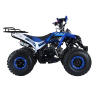 Quad ATV Beretta Varia PRO 125 dla dziecka