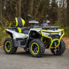 Linhai Landforce 650L Pro EPS, T3b, 4x4 Quad ATV - 3