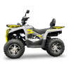 Mikilon Beretta Hammer 200 T3b Quad ATV - 4