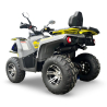Mikilon Beretta Hammer 200 T3b Quad ATV - 5