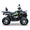 Mikilon Beretta Hammer 200 T3b Quad ATV - 2
