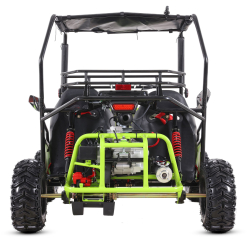 Asix Buggy 125 - 10