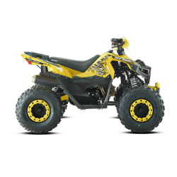 Barton Terrax 125 Quad ATV - 7