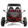 Asix Buggy 200 nie quad - 7