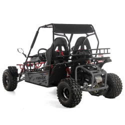 Asix Buggy 200 nie quad - 6