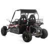 Asix Buggy 200 nie quad - 6