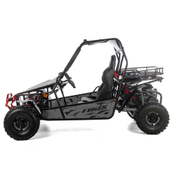 Asix Buggy 200 nie quad - 3