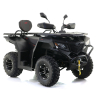 Asix Cyber 250 T3b Quad ATV - 2