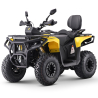 Asix Gladiator 200RR Quad ATV - 2