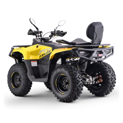 Asix Gladiator 300 Quad ATV - 7