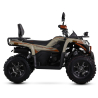 Asix Challenger RR 250 Quad ATV - 8
