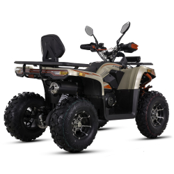Asix Challenger RR 250 Quad ATV - 7