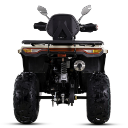 Asix Challenger RR 250 Quad ATV - 6