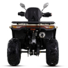 Asix Challenger RR 250 Quad ATV - 6