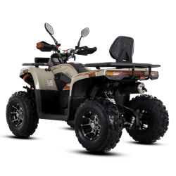 Asix Challenger RR 250 Quad ATV - 5