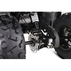 Asix Challenger RR 250 Quad ATV - 20