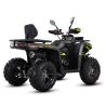 Asix Challenger RR 250 Quad ATV - 15