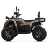 Asix Challenger RR 250 Quad ATV - 4