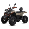 Asix Challenger RR 250 Quad ATV - 3