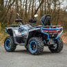 Linhai Landforce 650L Pro EPS, T3b, 4x4 Quad ATV - 18