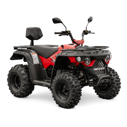 Quad ATV Linhai M210 T3b EFI z homologacją
