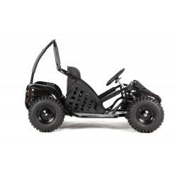 XTR Go Kart 1000W Buggy